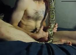 Real snake in pussy jpg x Snake in pussy