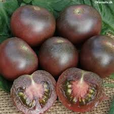  deti rajce.cz.601|Hnojivo pro rajče a papriky KRISTALON 0,5kg za 142 Kč - Ostatní produkty |  emerx.cz