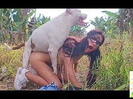 Bilara double fuck rarevideofree com jpg x Girls fucked by dogs