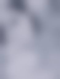 Incest mom art|MOTHER & SON SEXUALITY: A STUDY OF INCEST: Bien Encuadernación de tapa  blanda | LIBRERIA CLIO