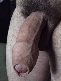 Uncut penis jpg x Uncut penis