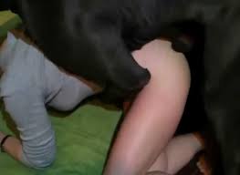 Girls having sex with animals jpg x Girls having sex with animals