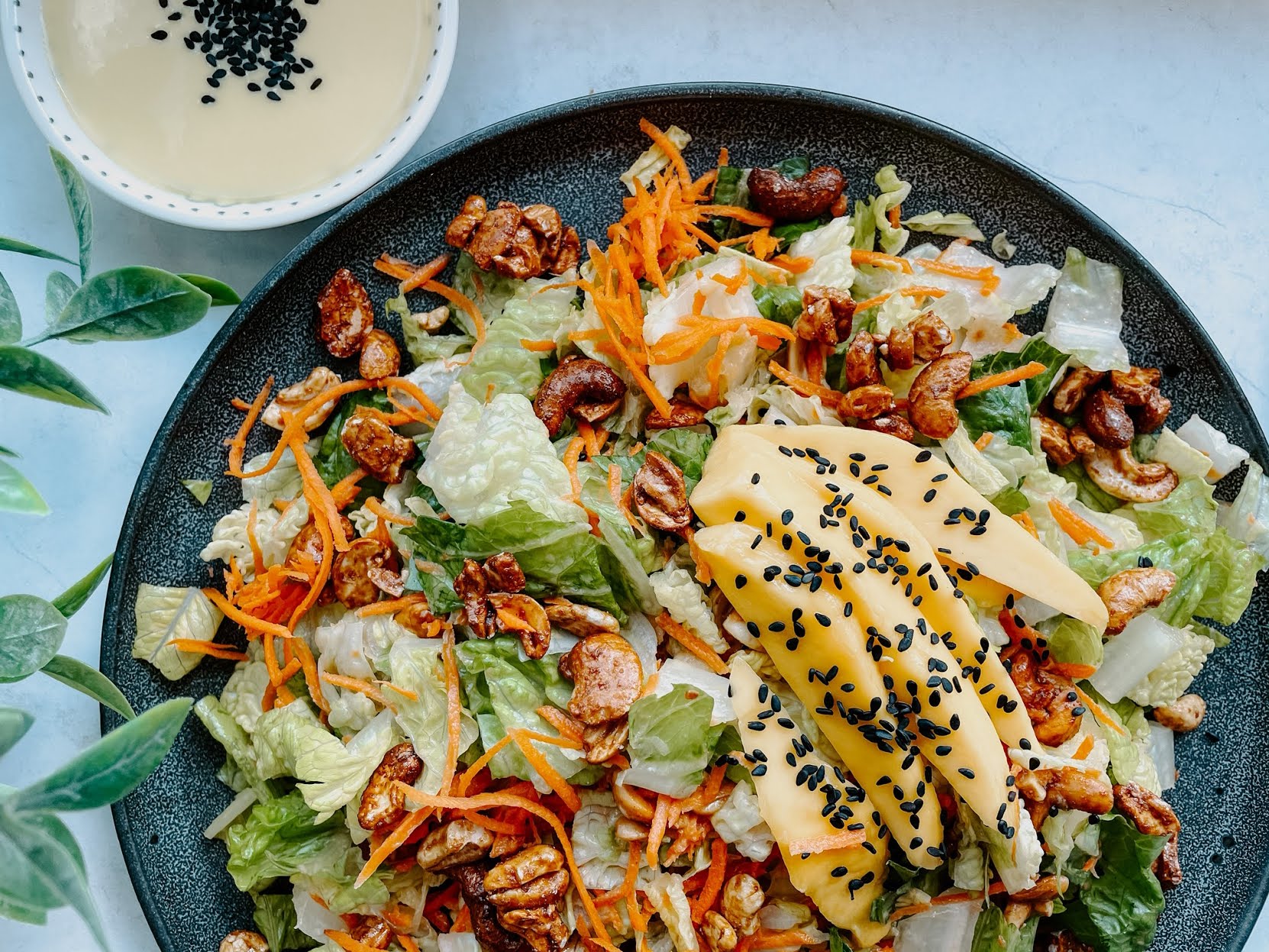 Cocobeet - Boston by null