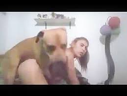 Zoophilia search results for amateur jpg x Amature dog