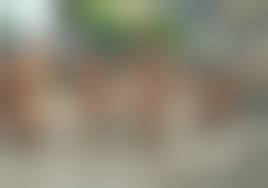  japanese  naked|Petite Japanese chicks get recorded before having a a naked photo shoot  outdoor - XNXX.COM