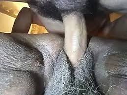 Free black granny fucking porn videos jpg x Black grannies having sex