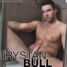 Trystan bull jpg x Trystan bull gay