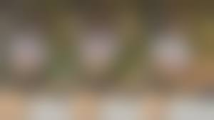 teen periscope nude|Teenage girl who broadcast friend being raped live on Periscope 'got caught  up in the likes' | The Independent | The Independent