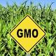 Senate approves national GMO labeling standard 