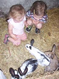 rajce.idnes.cz 2011rajce idnes child |srpen 2011 – zbystrca – album na Rajčeti