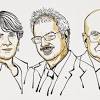 ノーベル化学賞に「クリックケミストリー」の米欧3氏 | Science ...
