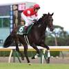 【関屋記念レース後コメント】ロータスランド田辺裕信騎手ら | 競馬 ...