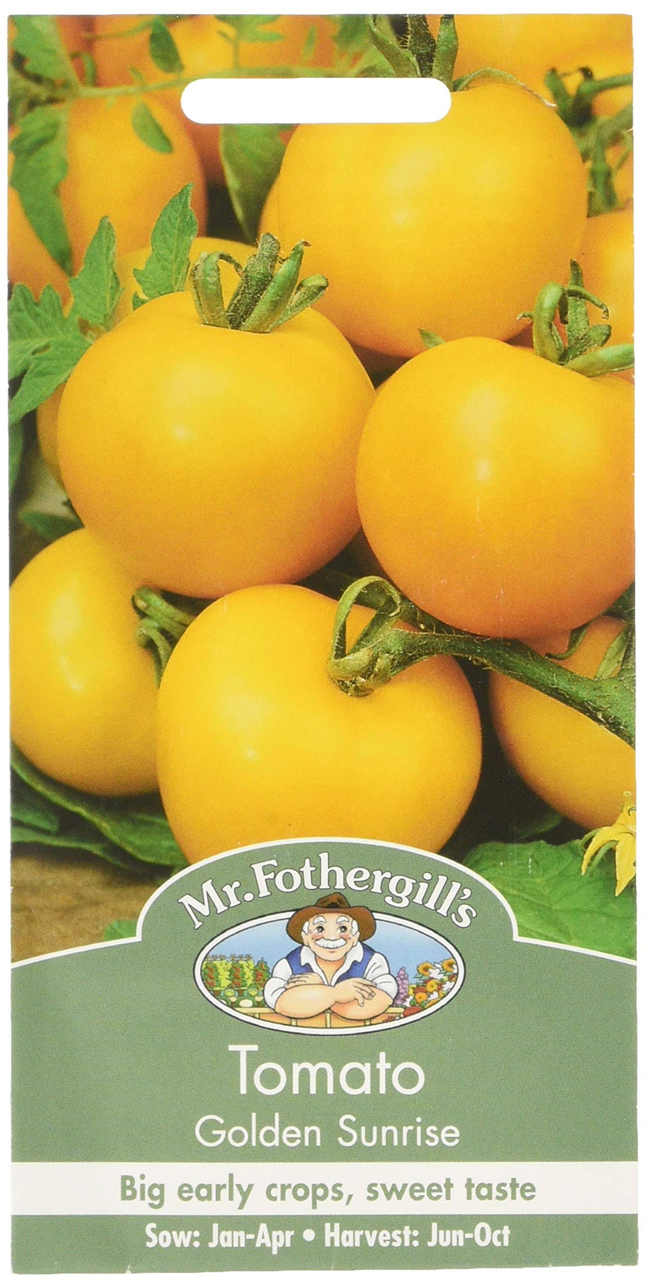 Mr Fothergills Pictorial Packet Vegetable Tomato Maskotka 20 Seeds