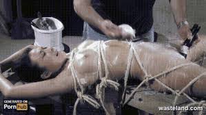 Dakota skye alien ass party anal and dildo fucking gif x Sex toy gif
