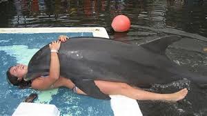Man finger fucks dolphin in crazy outdoor zoo play jpg x Man fucks dolphin