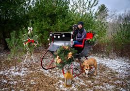 Riding on dog the pines|dog riding | ponydog76 | Flickr