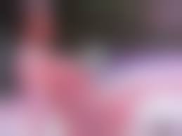 小向美奈子 ストリップ|