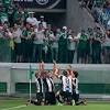 Palmeiras