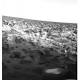 Did 40-year-old Viking experiment discover life on Mars? 