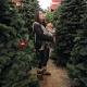 Selling holiday trees good for W. Pa. family businesses - Tribune