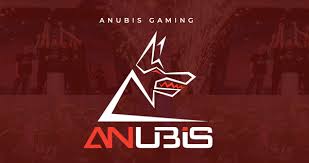 InsuranceBot Zambian fintech startup logo