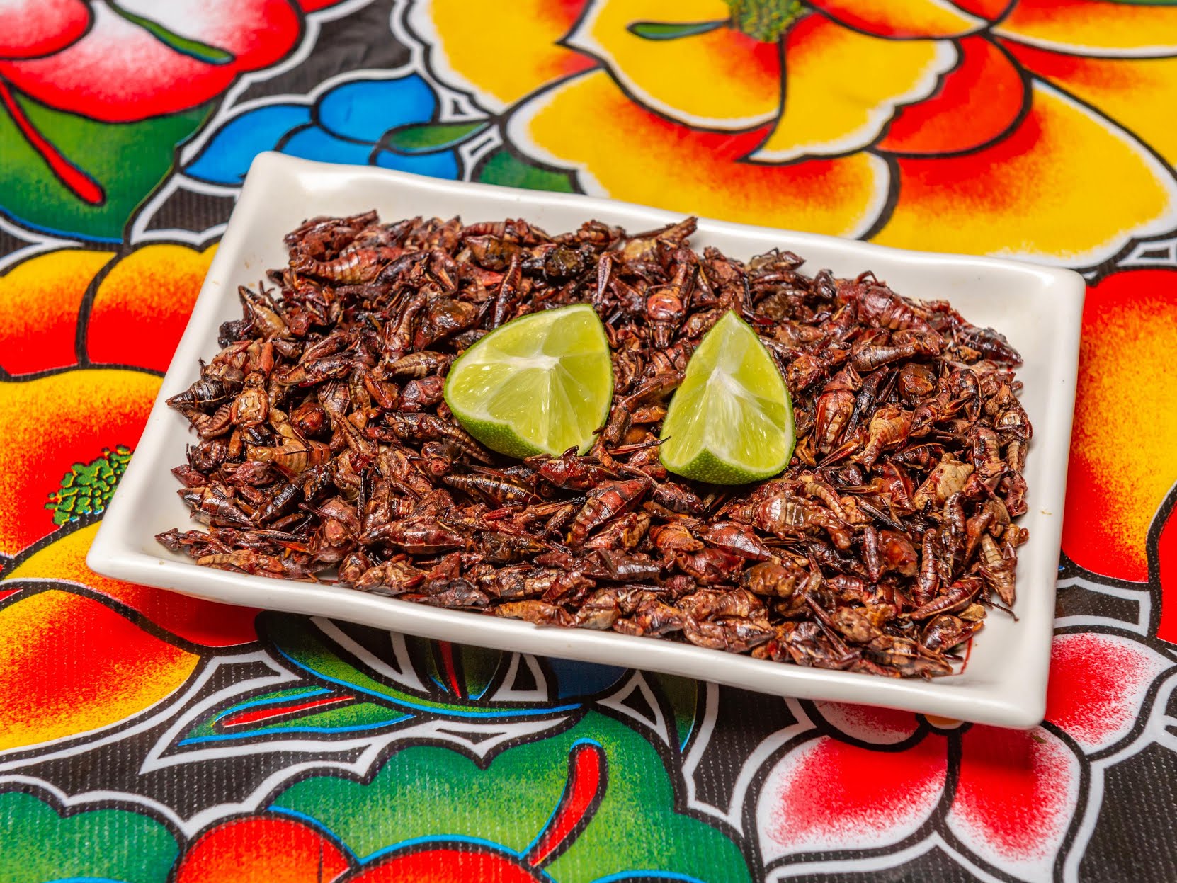 La Oaxaqueña by null