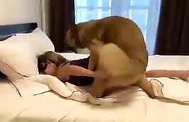 Women having sex with animals free video jpg x Women and animal sex