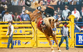 Two broncs one rider comic porn comics jpg x Rider rodeo