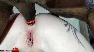 Damn hes up to balls in ass fucked me hard in the ass jpg x And balls in ass