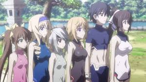 Celebrating cherry blossom season jpg x Infinite stratos long live