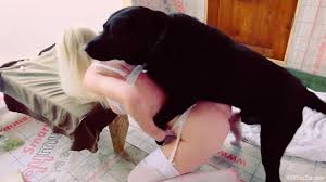 E a dog bonks hard to a girl jpg x Teen fucked by dog