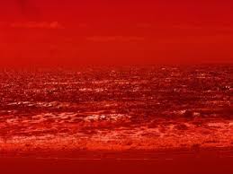 images?q=tbn:ANd9GcS4JDFDNP5GpAN2eHv-LJ_--XK7cpOykmkiCJSNoK5UmQhab1mq