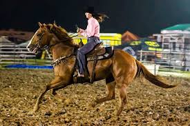 College teens on mechanical bull tit flash big ass jpg x Rider rodeo