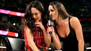 Artem chigvintsev nikki bella attend efcb jpg x Nikki bella sex