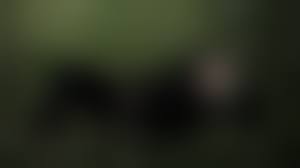 passed out sleeping nude|Two Clowns' Pass Out Drunk on Beach, Lose Their Kids: Florida Sheriff -  YouTube