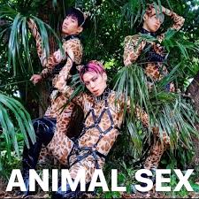 animalsex src|