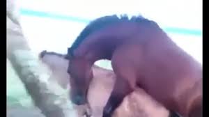 Horse roughly fucks naked gay man in rough outdoor xxx jpg x Man fuck horse