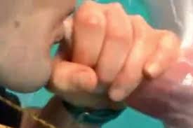 Horny dude would love to fuck this dolphin jpg x Man fucks dolphin