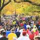 8 things you didn't know about the New York City Marathon 