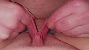 Big boobs big labia porn pic eporner jpg x Big labia