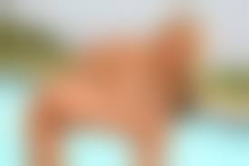 slomka nude|Darcie 4 @ Goddess Nudes