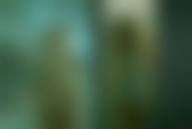 dead rape women porn|Sex Lies & Death (2011) | Rotten Tomatoes