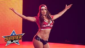 Watch nikki bella surprise artem chigvintsev with a striptease at his bachelor party jpg x Nikki bella sex