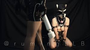 Pet play bondage videos big tits porn comments png x Bdsm pet play