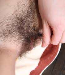 Sexy hairy pussy jpg x Sexy hairy pussy