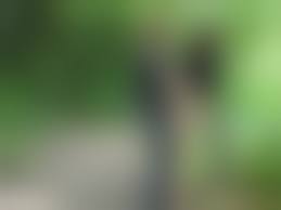 無修正野外露出　熟女　豊満青姦　gif|矢部寿恵】田舎に暮らす独り身の美熟女！農作業の合間に言い寄る男と田園青姦 | エッチな写真