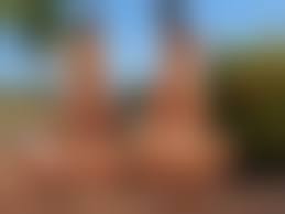 Group spreading pussies|Amateur Girls in Groups - A Pussy Spread Wide Open and Ready |  MOTHERLESS.COM ™