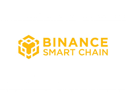 Binance Smart Chain (BSC) cryptocurrency logo