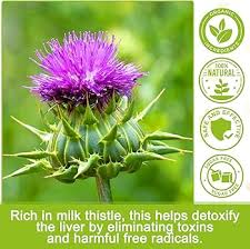 Milk thistle benefits jpg x Milk thistle benefits