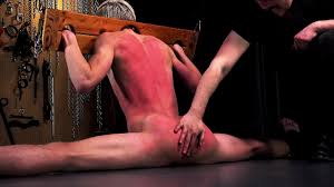 Gay bondage jpg x Gay bondage